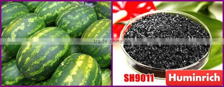 FAQ 35--What Benefit Does Huminrich Organic Fertilizer Apply To Watermelon?