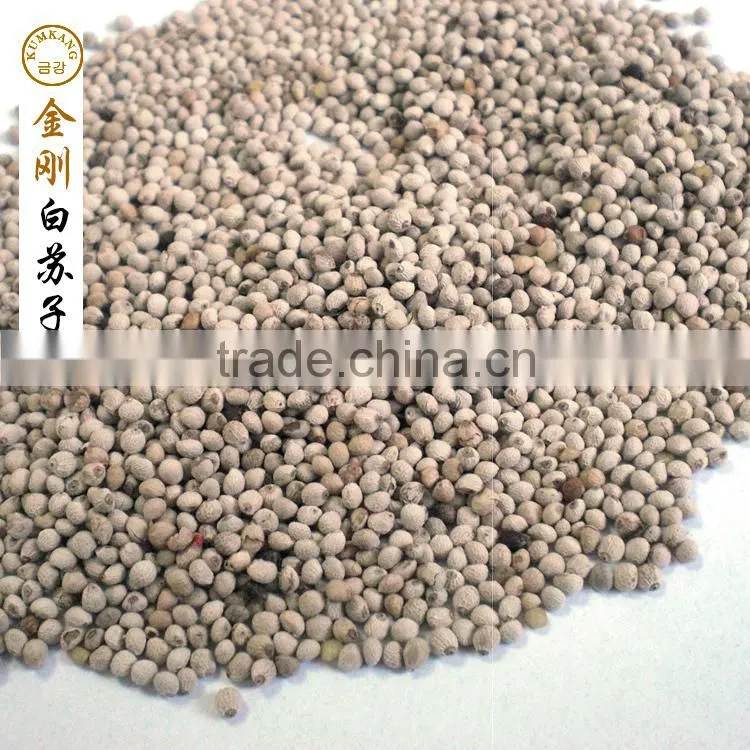 perilla seed for birds/white perilla seed for sale