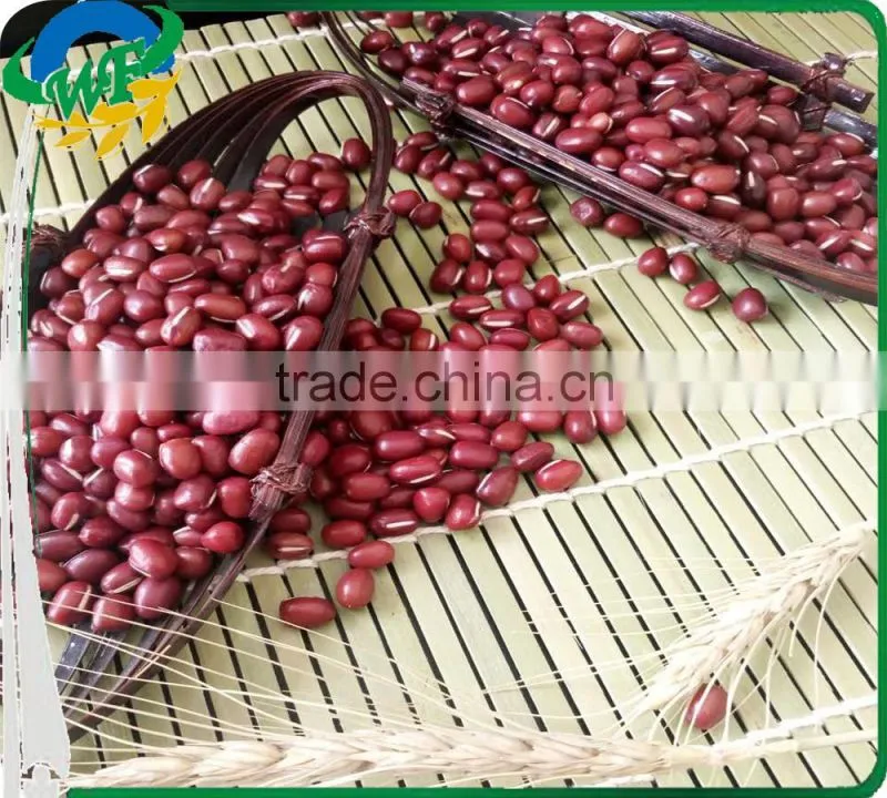 Chinese Adzuki Beans for Europ
