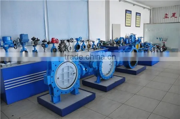 Dual Plate Check Valve with Stainless Steel Disc