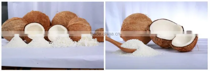 Desiccated coconut - High fat fine grade