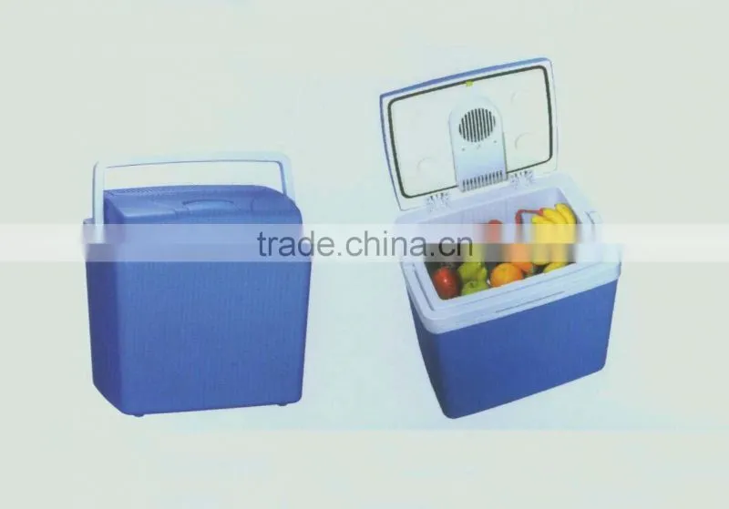 Car Fridge