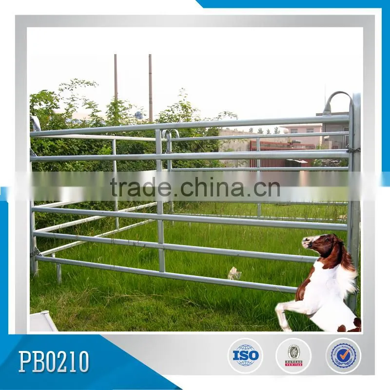 Factory Supplied Good Quality Plywood Filled Horse Stable