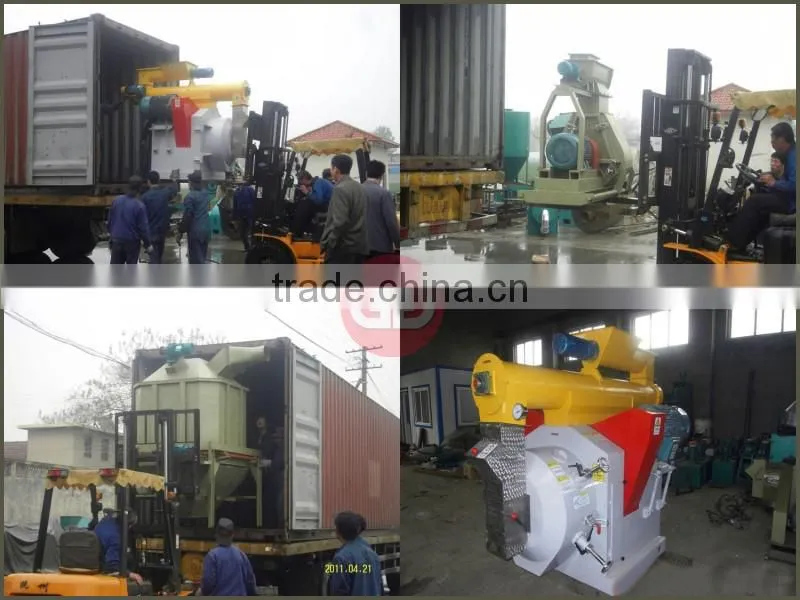 Hot sale Automatic Animal Feed Pellet Production Line