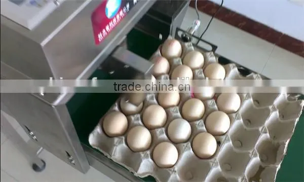 High Speed digital stamping machine/egg stamping printer machine/egg date stamping machine