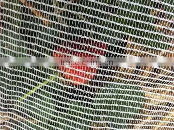 Bird control netting/Anti-butterfly netting/Plant support netting