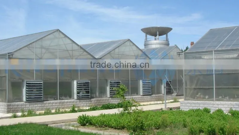 Large Roof Span PC Sheet Greenhouse