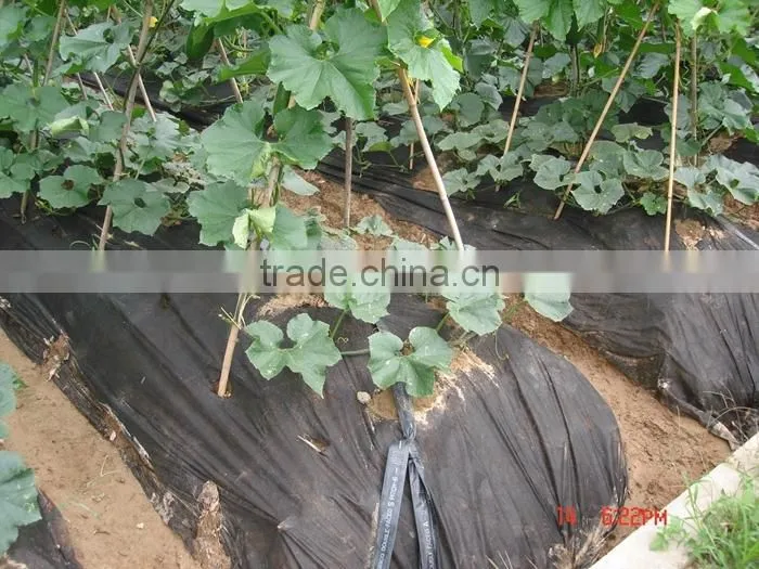 Wholesale 20-320cm Width Recyclable Landscape Fabric Agriculture Cover