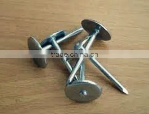 Salable Umbrella Head Roofing nails Best Quality and Professional Factory