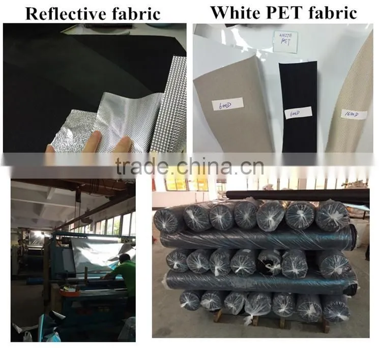 Hydroponic Professional Greenhouse Plant Indoor Grow Tent, hydroponic grow tent