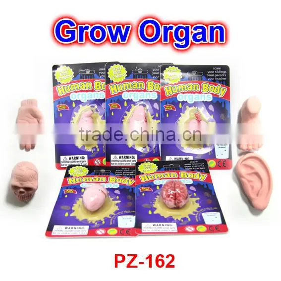 Magic Water Grow Skull Toys
