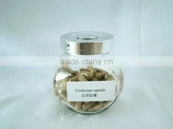 hot selling Cordyceps capsule