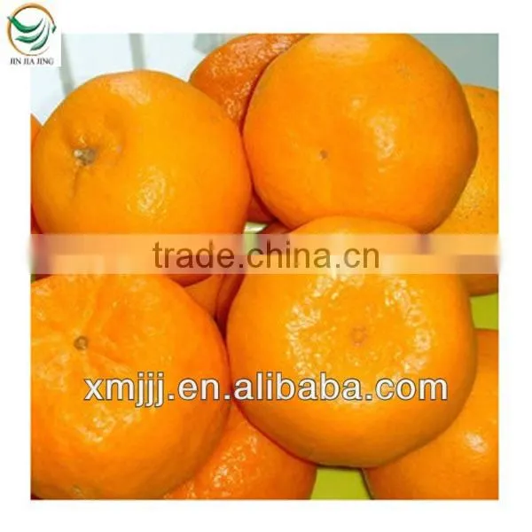citrus fruits Orange Export Company