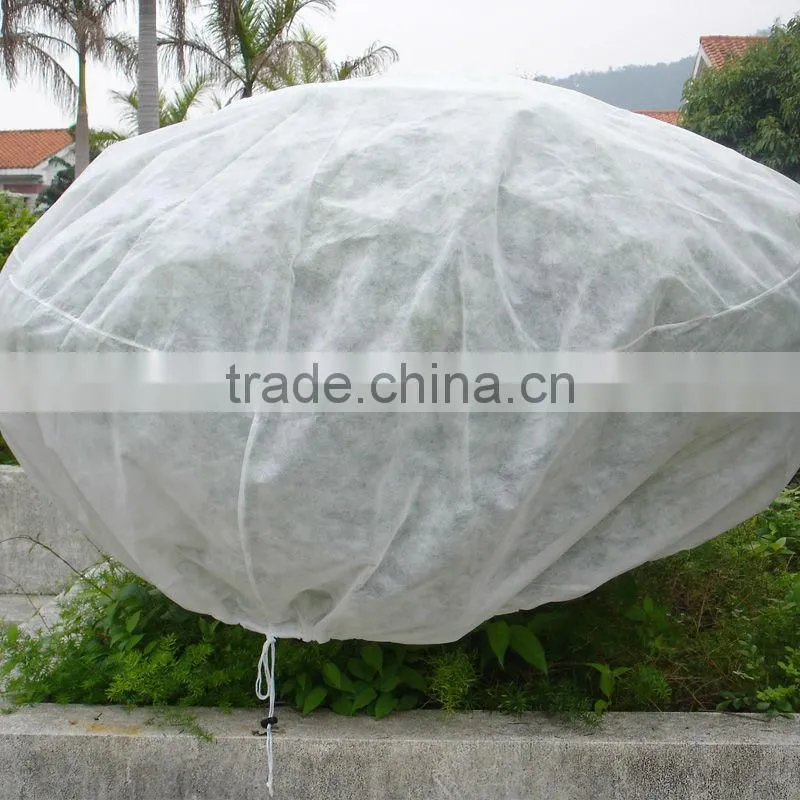 Anti UV Agriculture Nonwoven