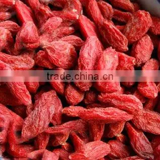 Organic Dried Goji Berry