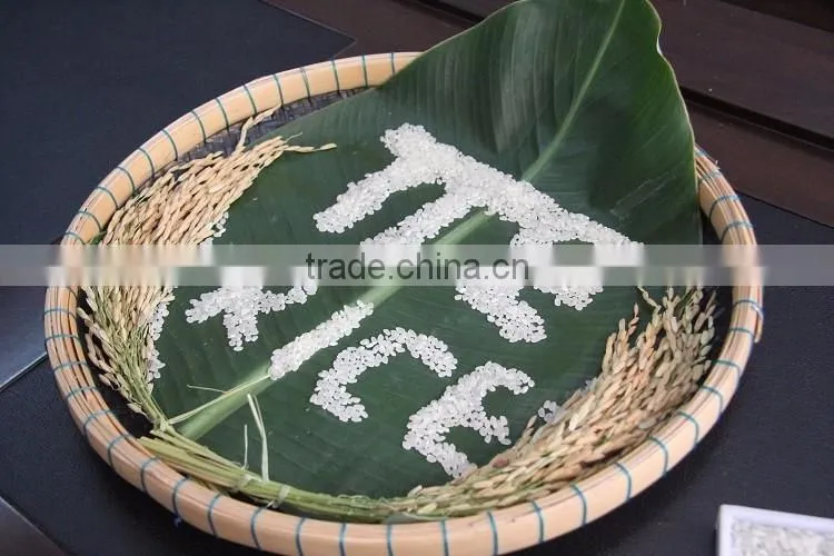 Vietnam Japonica Rice (Calrose Rice)