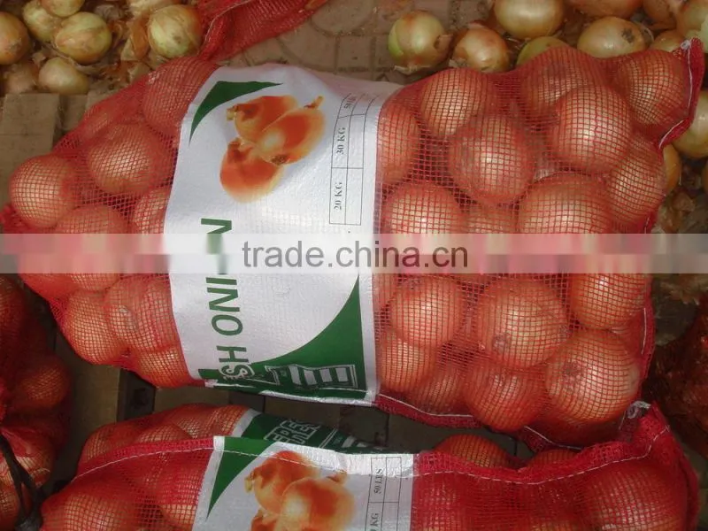 2015 crop fresh yellow Onion