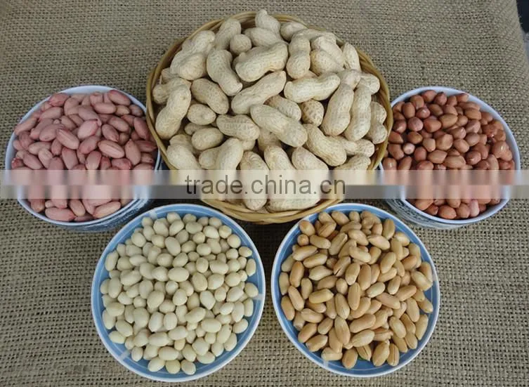 new products raw peanut raw materail peanut kernels price peanut kernels in china