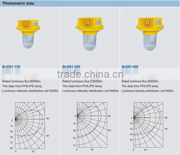 BnD81 Series Explosion-proof Light Fittings