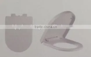 Plastic toilet lid