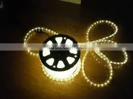 LED Rope Light