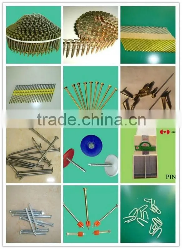 coil nails/coil framing nails