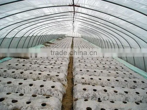 PE agriculture greenhouse film