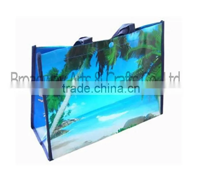 Full Printing Lovely Shopping PP Non Woven bag