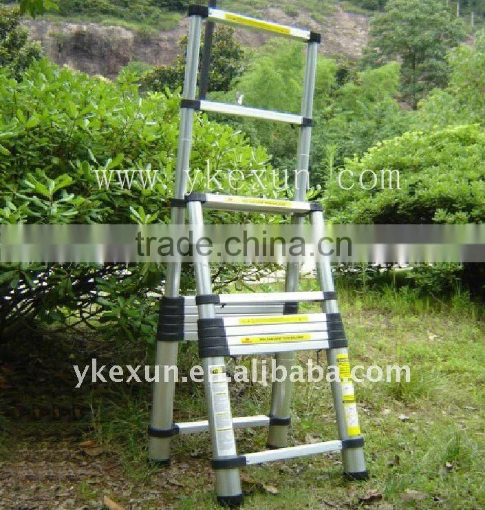 Double Telescopic Ladder