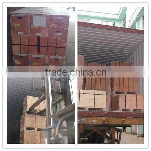 worm gear speed reducer Ac Synchronous Motor