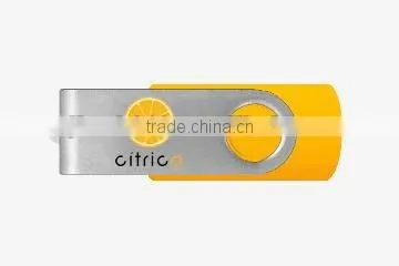 promotion usb gift