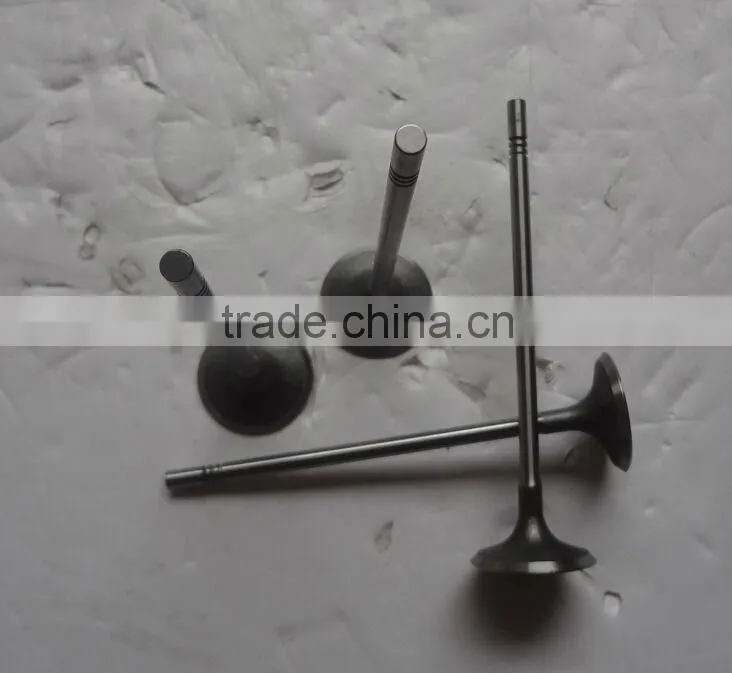 High Quality Chevrolet Cruze Intake Valve 55557862