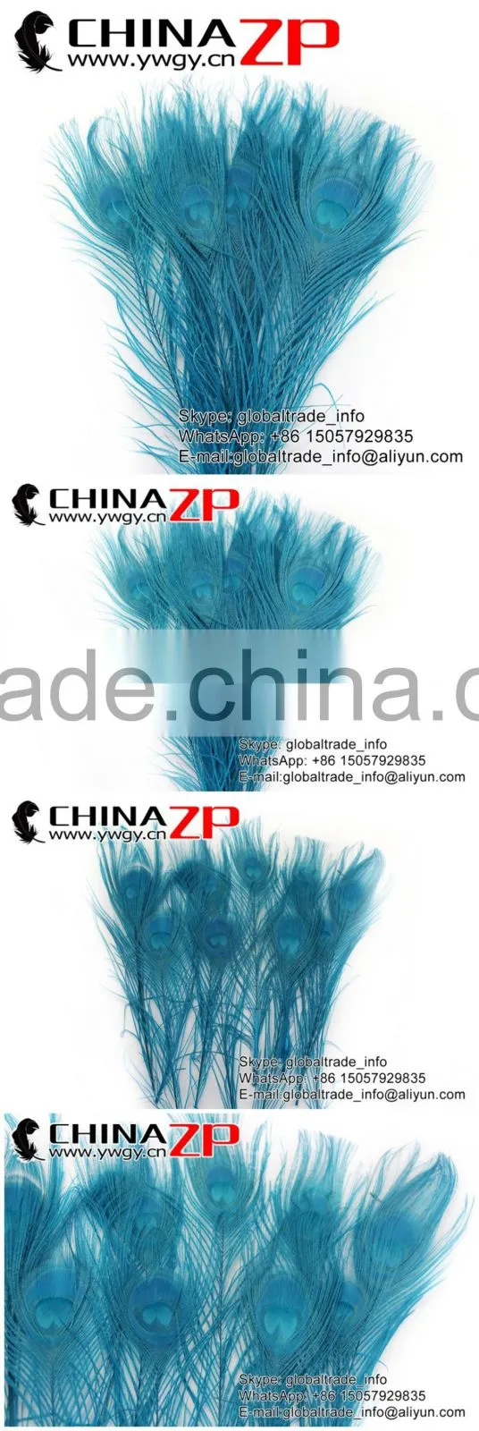 CHINAZP Leading Supplier Wholesale Cheap Full Eye Dyed Turquoise Blue Peacock Tail Feathers for Sale