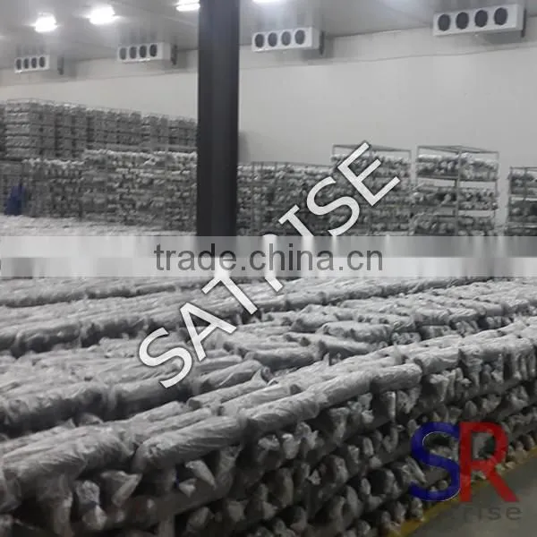 Low Price oyster mushroom auto climate control unit