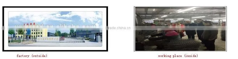 hot galvinized metal poultry chicken cages