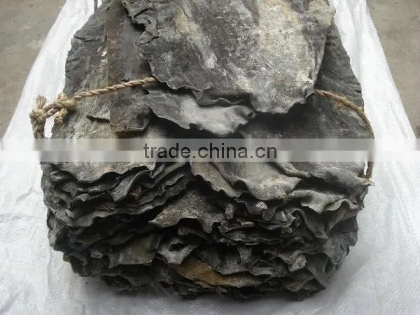 lowest price fertilizer humus fertilizer