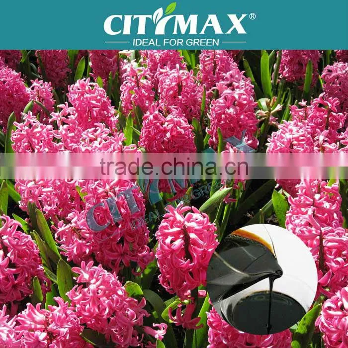 Humate Fulivic Acid Organic Liquid Fertilizer