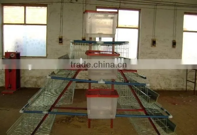 The Chicken Breeding Cage