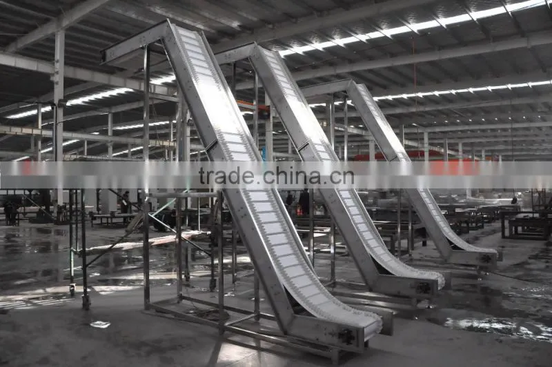 apple chips production line