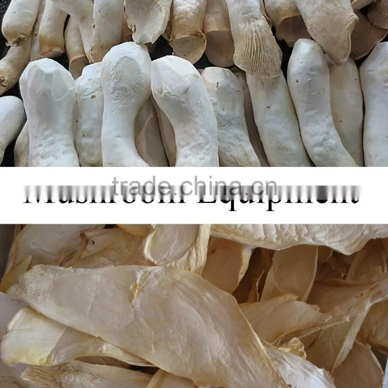 mushroom belt drying machine
