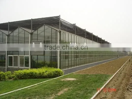 Greenhouse flowers grow automation