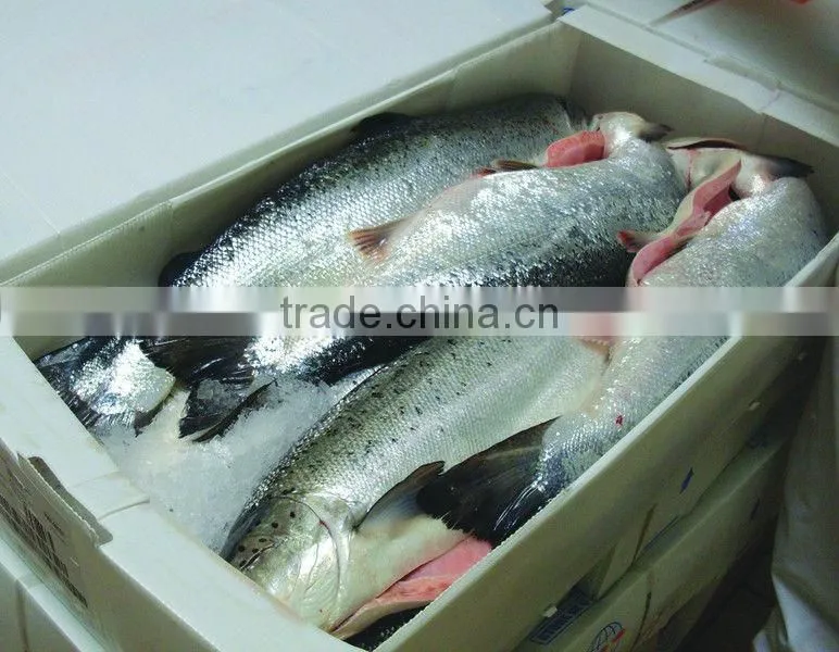 Signboard 3.6mm Corrugated Plastic Sheets for cake box