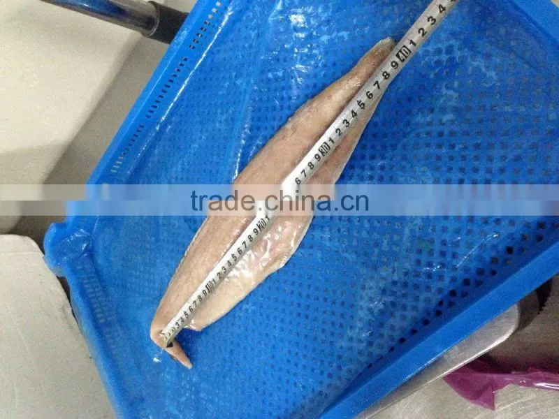 fast delivery sea frozen mahi mahi fillet with whole round