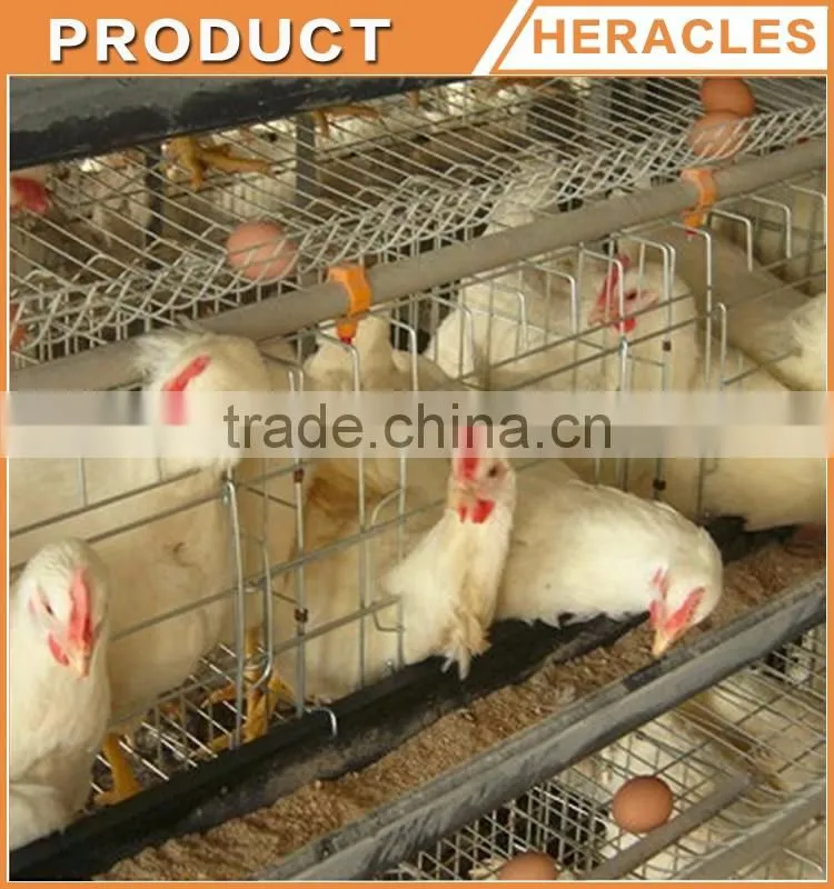 China Heracles Alibaba trade assurance poultry farming equipment chicken layer cage in philippines