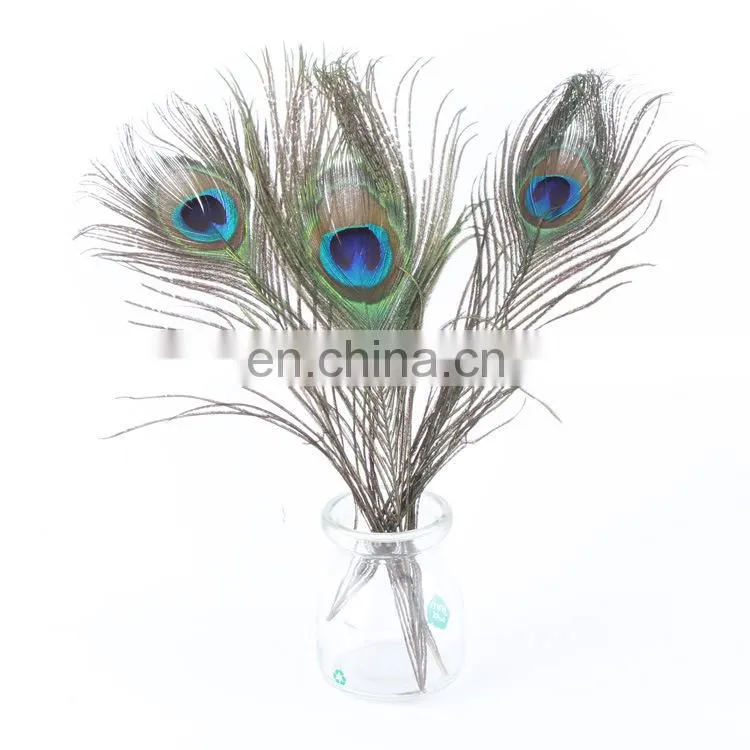 Factory direct sale spot supply top quality peacock feather