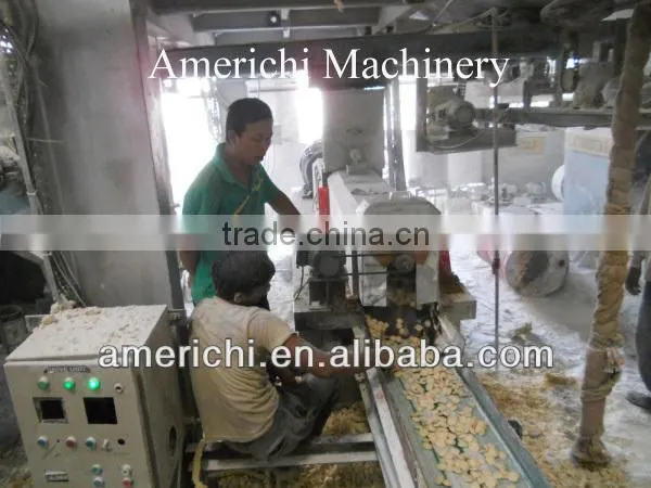 Pregelatinized corn starch plant