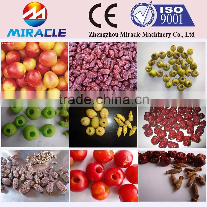 Fast Delivery Date Palm Core Seed Removing Machine From Fruit Process