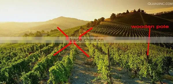 Hot sale pultruded fiberglass posts for vineyards support poles