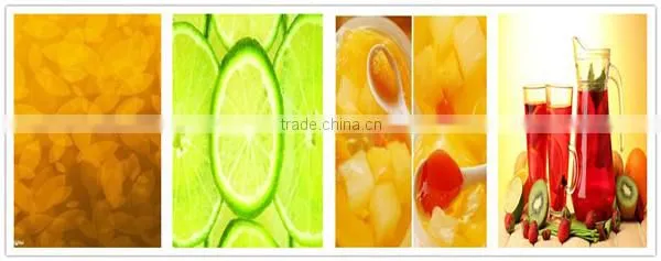 Automatic Tube Sterilizer Pasteurizing Machine