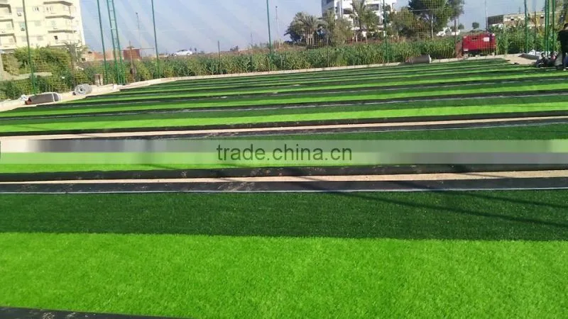 Green synthetic grass for football with best price